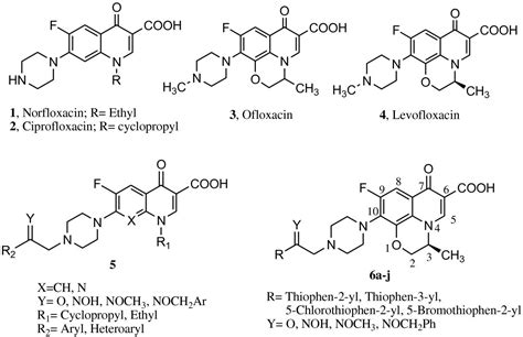 Synthesis And Antibacterial Activity Of Novel Levofloxacin Derivatives