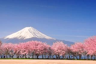 12 Best Places to See Cherry Blossoms in Japan | Condé Nast Traveler