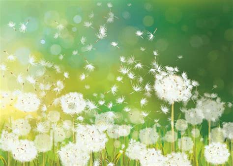 Dosha Quiz - Laura Plumb