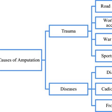 Common Causes Of Amputation Download Scientific Diagram