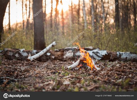 Bonfire Forest Sunset Stock Photo By ©dimaaslanian 274719640