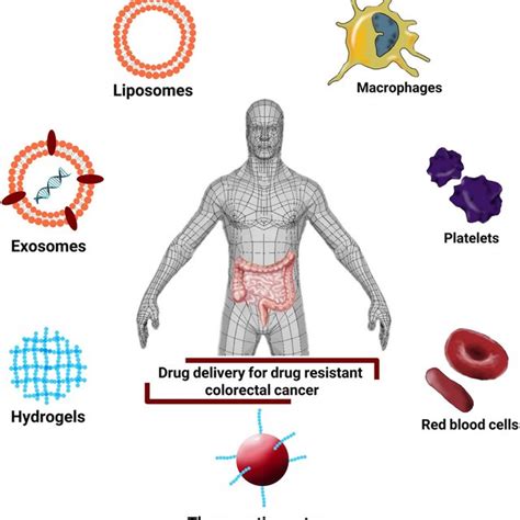 Advanced Hydrogel Based Drug Delivery Systems For Crc A Hybrid