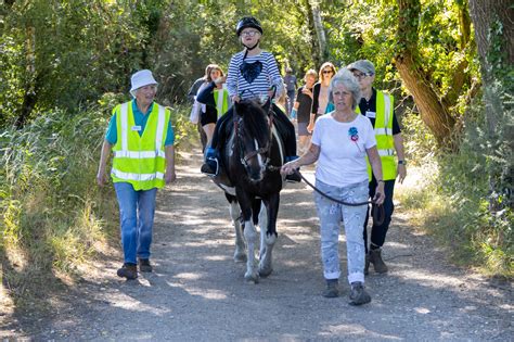 Meet Mary our new pony - Green Cottage RDA