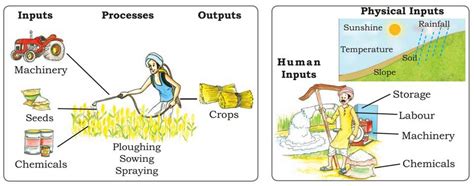 Economy For Descriptive Exams 4a Agriculture Credit And Inputs Part 1 3