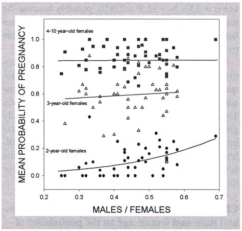 Biased Adult Sex Ratio Can Affect Fecundity In Primiparous Moose Alces Alces Solberg