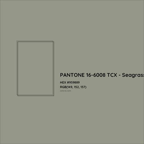 PANTONE 16 6008 TCX Seagrass Complementary Or Opposite Color Name And