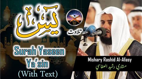 Surah Yaseen Yasin By Mishary Rashid Al Afasy Full Text Masoon