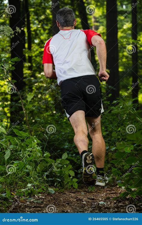 Trailrunning Stock Image Image Of Jogger Sports Sport 26465505