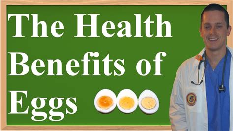 The Health Benefits Of Eggs Healing Saga