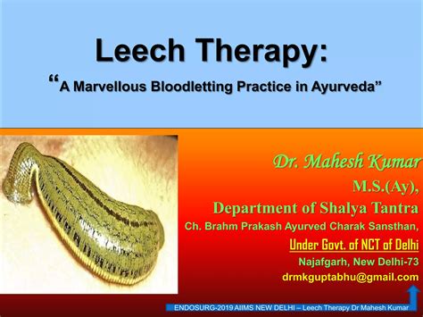 Leech And Leech Therapy Scientific Overview And Its Application Ppt