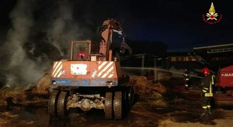 Incendio In Fattoria Incenerisce Rotoballe Di Fieno Per Quintali