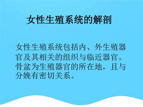 完美版女性生殖器系统图解资料ppt文档word文档在线阅读与下载免费文档