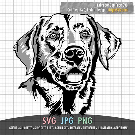 Labrador Dog Face Svg 2 In 1 In Black And 2 Colors Origin Svg Art