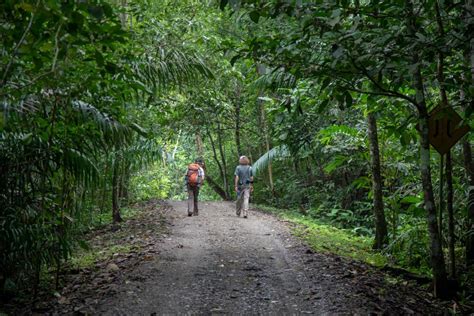 Your Thrilling Panama Hiking Expedition In Isla Carenero Nayara Bocas