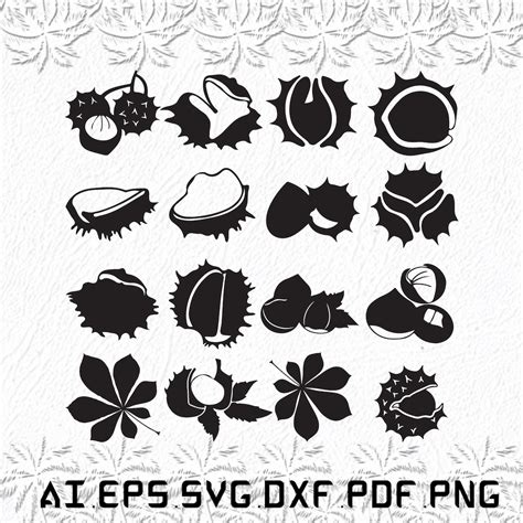 Chestnut Svg Chestnuts Svg Chest Nut Svg Chest Nuts Nuts Svg Ai