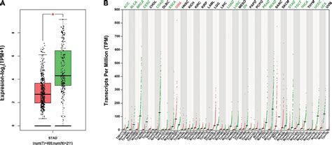 Frontiers Circitga Suppresses Gastric Cancer Progression Through Mir