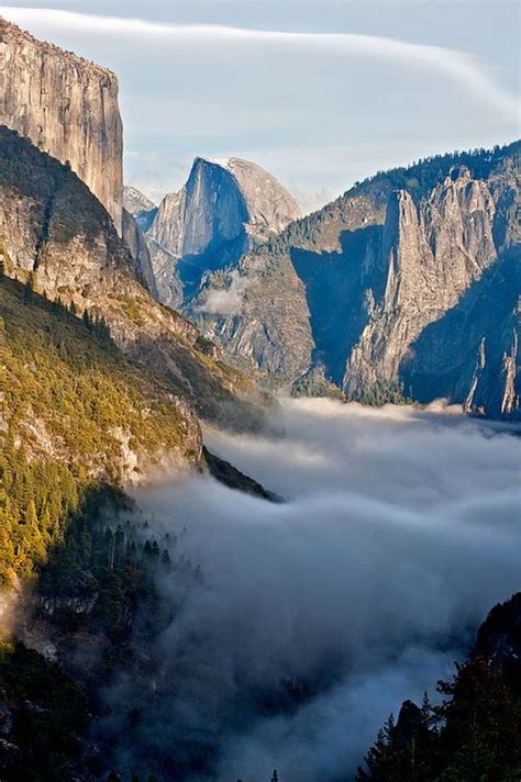 Such A Stunning Shot Of Fog Rolling In The Yosemite Valley Yosemite