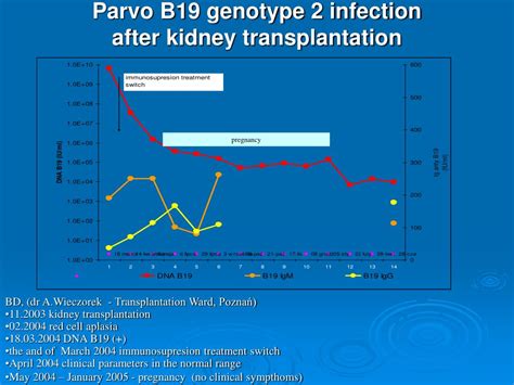 Ppt Level Of Viraemia And Genotype Characteristics Of Parvo B19 In