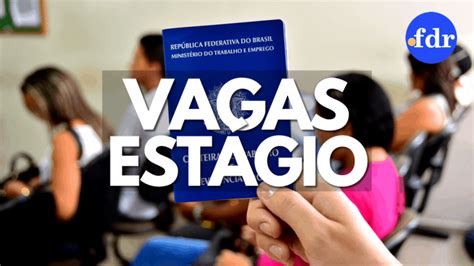 Programa De Est Gio Da Novelis Est Inscri Es Abertas