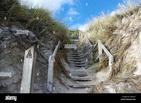 Beach Bushes Hi Res Stock Photography And Images Alamy