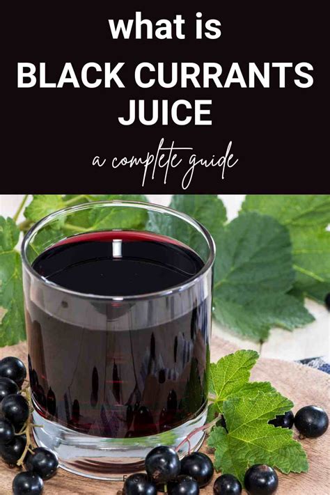 Black Currant Juice 101: Nutrition, Benefits, How To Use, Buy, Store ...