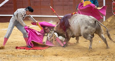 Del Toro Al Infinito Cenicientos La Corrida Concurso En El Objetivo