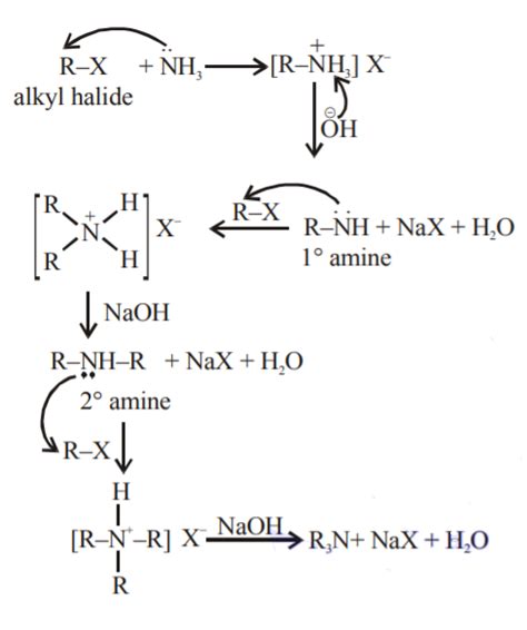 Ammonolysis Of Alkyl Halides Followed By The Treatment With Naoh