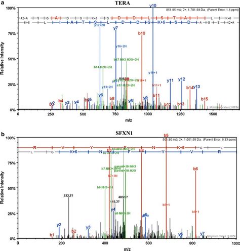 Msms Fragmentation Spectrum Identified The Peptide Of Download