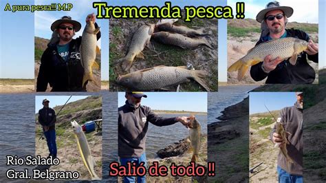 Rio Salado General Belgrano Tremenda Pesca Salio De Todo Carpas