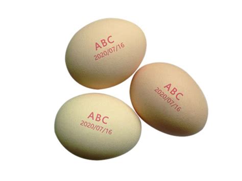 Egg Inkjet Printer Egg Marking