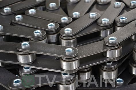 Palm Oil Chain Extended Pin Hollow Pin Conveyor Chain M Fv Series Chain