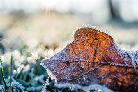 Ciclone Traz Frio Intenso E Chance De Neve Para O Rio Grande Do Sul