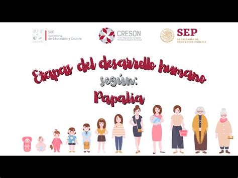 Etapas Del Desarrollo Humano Seg N Papalia Youtube