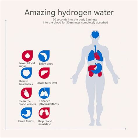 Portable Hydrogen-Rich Water Bottle - PacknRun