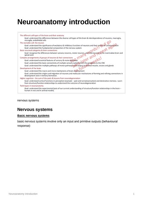 Neuroanatomy Introduction Neuroanatomy Introduction Nervous Systems