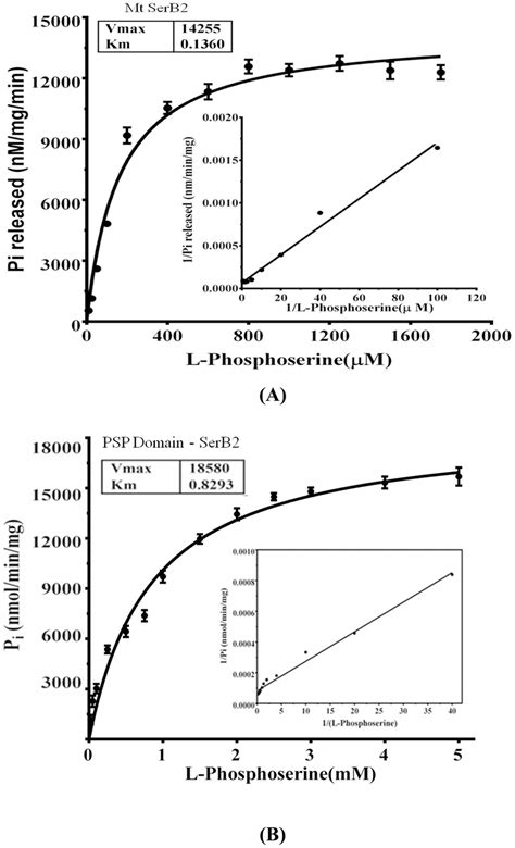 Determination Of Km And Kcat Values For Download Scientific Diagram