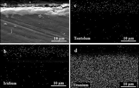 A SEM Image And Map Of The Chemical Composition Of Etched IrO 2 Ta 2 O