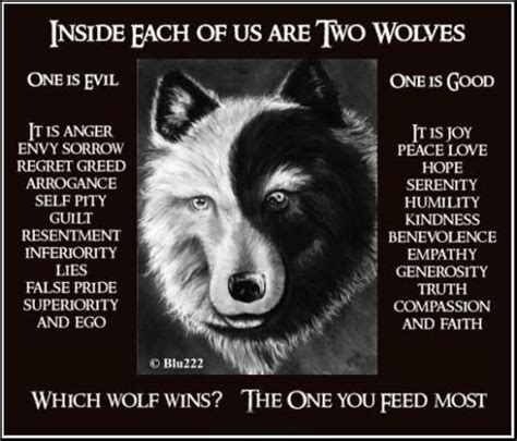 Do We Feed The Good Wolf Or The Bad Wolf Cosmic Loti Wolf Quotes Native American Quotes