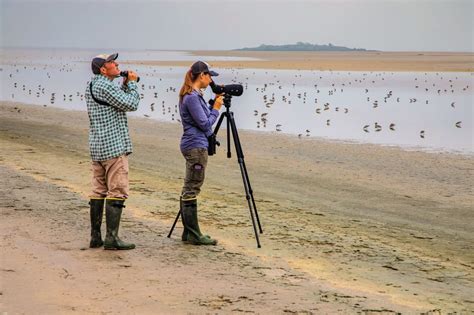 Explore Rio Grande Valley Wilderness At Laguna Atascosa National