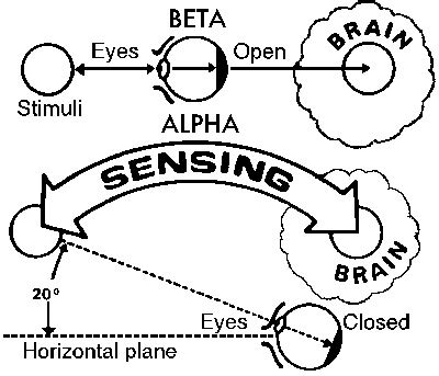 Mental Screen Silva Method Mental Discipline Stress Management