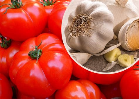 Jak Naturalnie Zwalcza Choroby I Szkodniki Pomidor W Zielony Ogr Dek