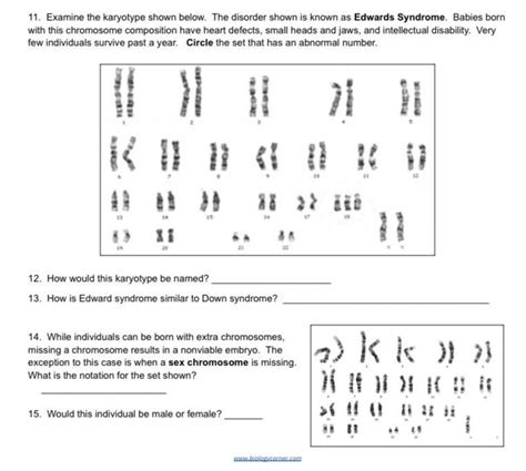 Whoever Answers Correctly With An Detailed Answer Will Get BRAINLIEST