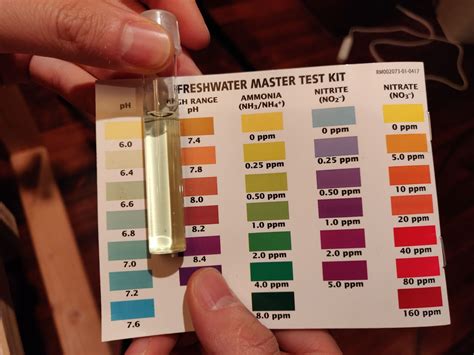 Testing Fish Tank Water Parameters Ammonia Nitrite Nitrate PH