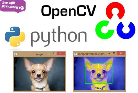 Getting Started With OpenCV Installation And Basic Image Processing