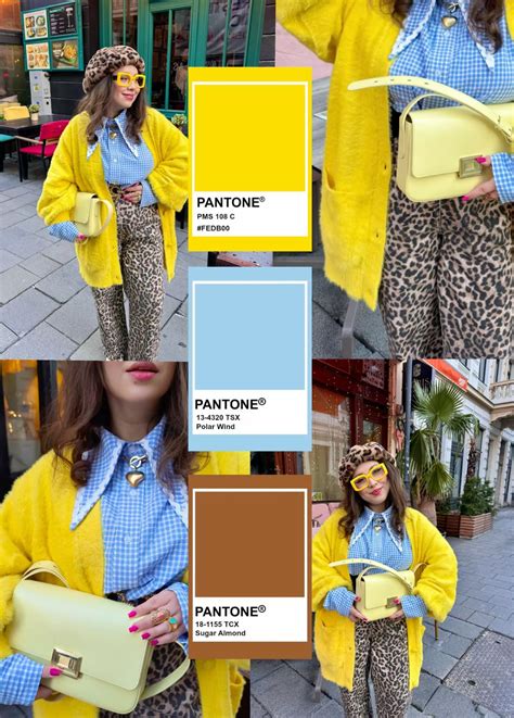 yellow blue brown color combo   color combinations