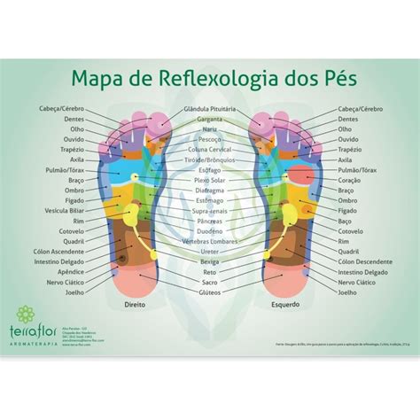 MAPA DA REFLEXOLOGIA PODAL Mail Napmexico Mx