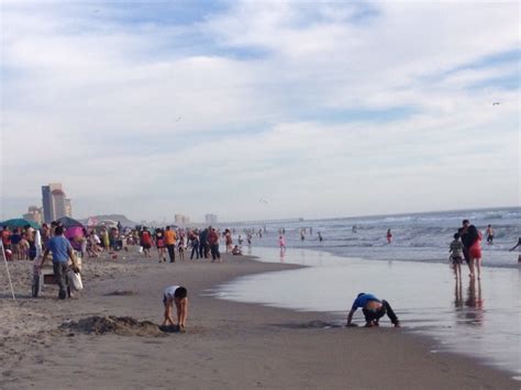 Playas De Bc Son Un Destino Seguro Y Sin Riesgo Sanitario Comit De