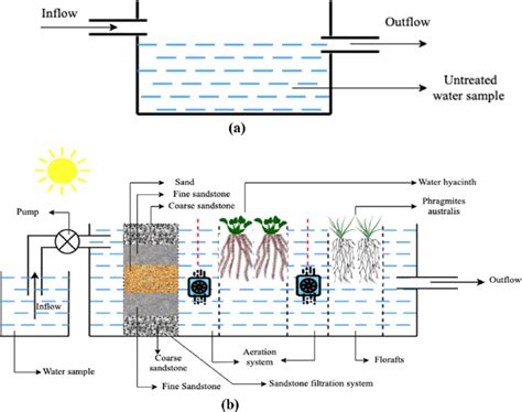 A Control Experiment B Diagrammatic Representation Of Pathway Of