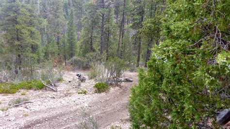 Camping And Trail Riding In Duck Creek Utah