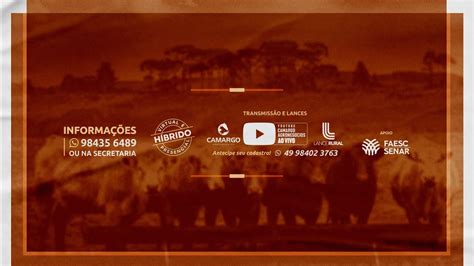 Apresentação dos Lotes Feira do Terneiro a Etapa 2 Lages YouTube